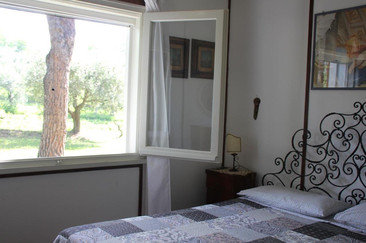La Villa Del Nonno Montefelcino Exterior photo