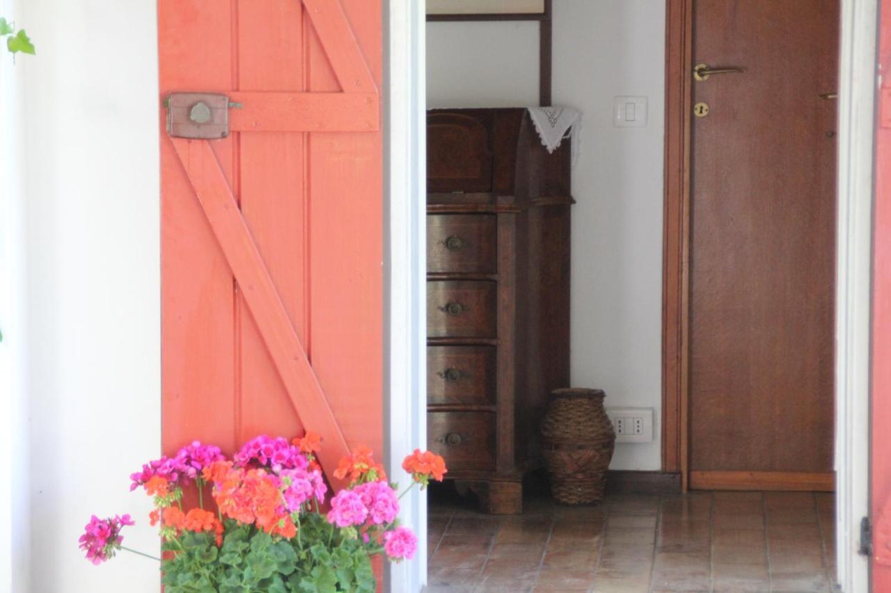 La Villa Del Nonno Montefelcino Exterior photo